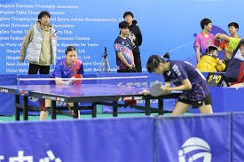 体总：占旭刚任举重摔跤柔道中心主任，王励勤任乒羽中心副主任